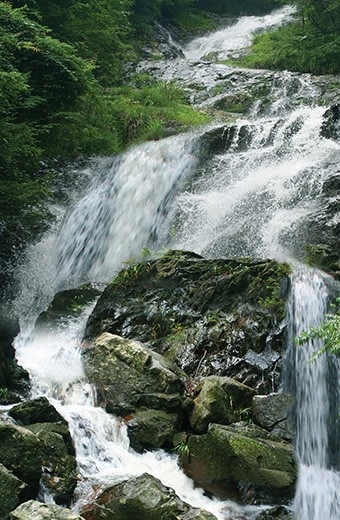 寒山森林公園